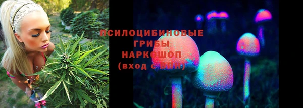 спиды Богородицк