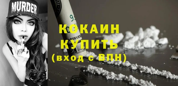 спиды Богородицк