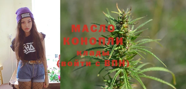 спиды Богородицк