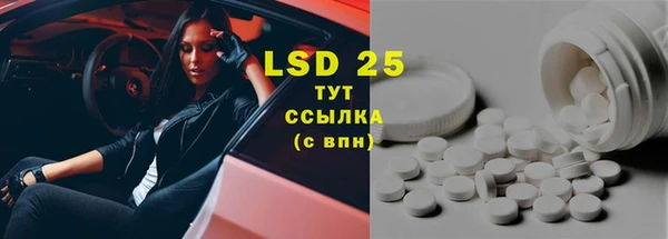 спиды Богородицк