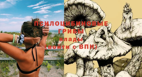 спиды Богородицк