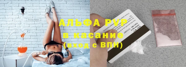 спиды Богородицк