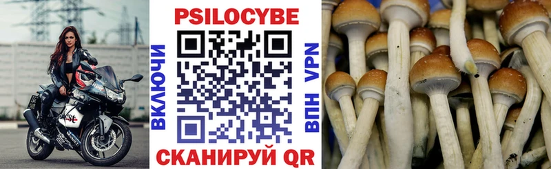 Галлюциногенные грибы мухоморы  Красный Кут 